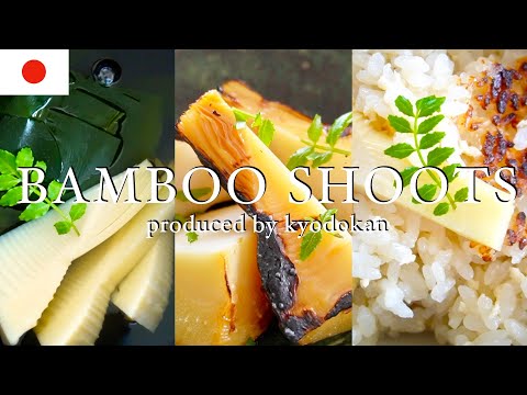 3 popular Japanese spring dishes using bamboo shoots,Takenoko.