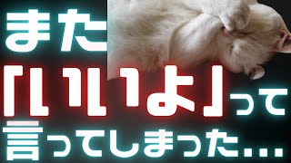 断れない→後悔→自己嫌悪を繰り返すHSPの繊細さんに足りていなかったもの【心の声】