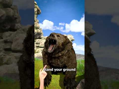 How To Escape A Grizzly Bear Attack 😨