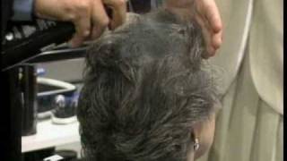 GLH9, Ronco's Great Looking Hair