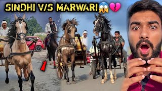 Download lagu Last Mai Kon Jeeta 😨? RAFTAR VS SINDHI VS BAJIRAO😱Socha Nahi Tha Aisa Karenge Mere Ghode 😨  mp3