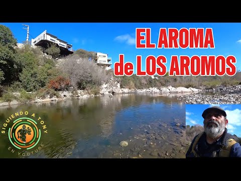 Los Aromos. Córdoba. Argentina. 