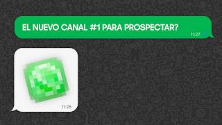 Automatiza Seguimientos Cálidos Con lemlist