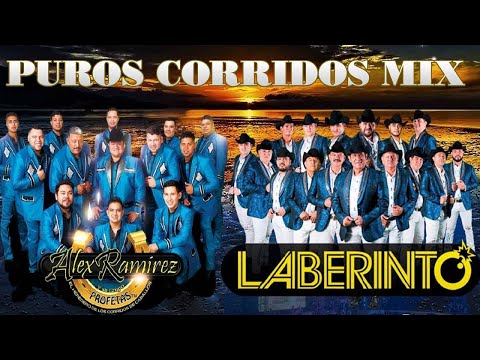 Grupo Laberinto, Alex Ramirez Y Su Grupo Profetas - Puros Corridos Mix - Corridos De Caballos 2021