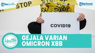 Kenali Gejala Omicron Subvarian XBB yang Terdeteksi di Indonesia: Demam hingga Lidah Tak Ada Rasa