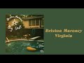 Briston Maroney – Virginia [Official Audio]