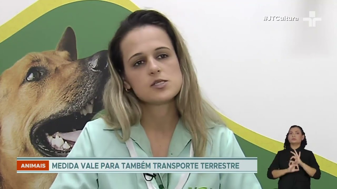 Caso Joca: Gol tem até sábado para informar ANAC sobre morte de cachorro durante transporte