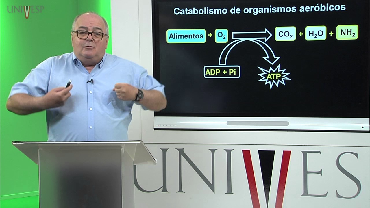 Bioquímica - Aula 11 - Catabolismo - Carboidratos