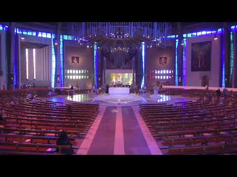 Sunday 9 July 2023, Fourteenth Sunday of Ordinary Time