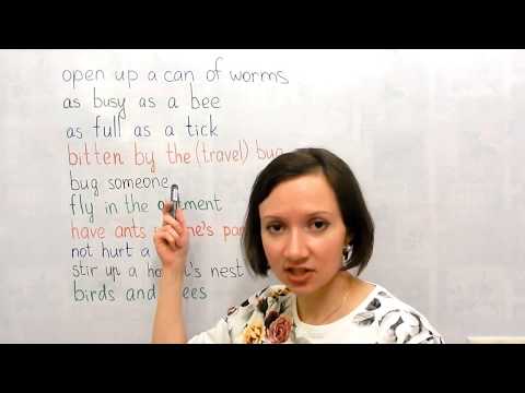 English idioms about insects in Russian (идиомы о насекомых на английском)