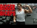 3 Arm Training Tips For BIGGER Biceps