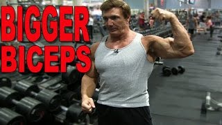 3 Arm Training Tips For BIGGER Biceps