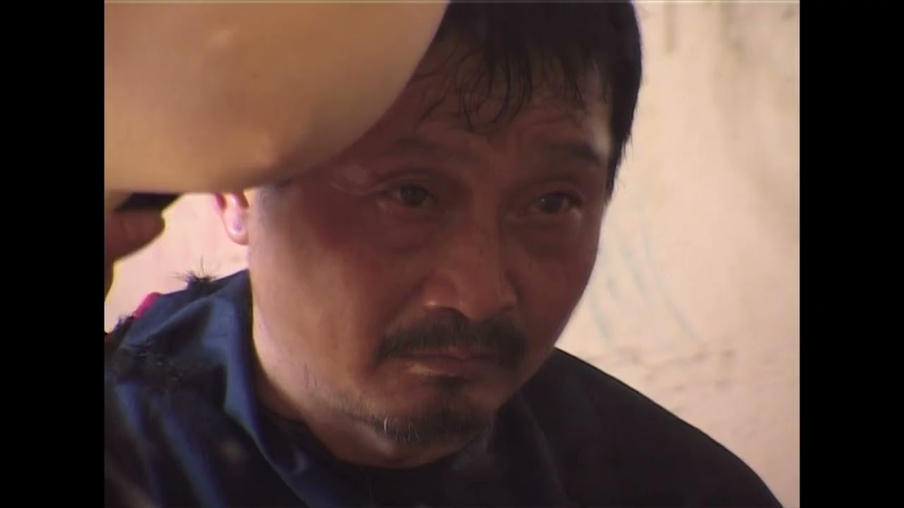 Ferry Chronicle - He Family - TRAILER