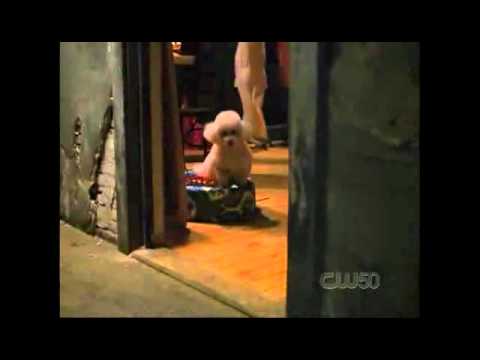 Silence of the Lambs: Goodbye, Horses - Child-Friendly Version