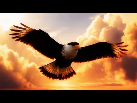 Boechi, Trop - Tur Dia (prod. Astral)