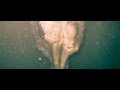 Wye Oak - We Were Wealth (lyrics)