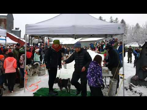 Sandpoint K9 Keg Pull