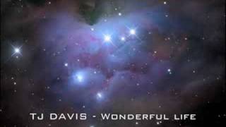 TJ Davis - Wonderful life