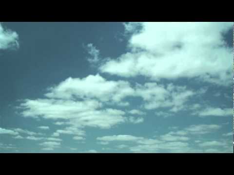 Robert Wyatt - 5 Black Notes and 1 White Note