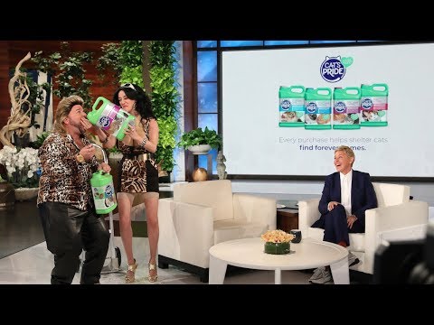 Ellen Recruits Average Andy for the 10th Annual Cat Week