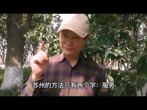 苏州工业园区为何如此成功？四链融合功不可没