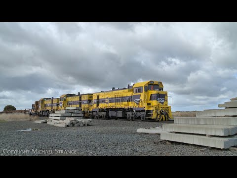 P16, T381 & T363 Southern Shorthaul Railroad (SSR) Broad Gauge Rail Train (9/5/2023) - PoathTV