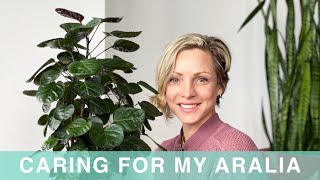 How I Care For My Aralia - Green Moments With Juliette - Episode #01