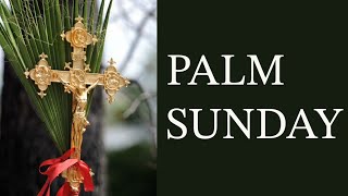 Meditate on the Cross: Palm Sunday