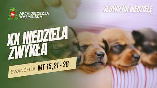 SŁOWO NA NIEDZIELĘ - XX Niedziela Zwykła Rok A - abp Józef Górzyński - 16.08.2026 r.