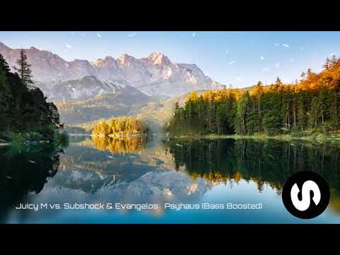 Juicy M vs. Subshock & Evangelos – Psyhaus [Bass Boosted]