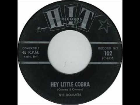 Hey, Little Cobra ~ The Roamers (1964)