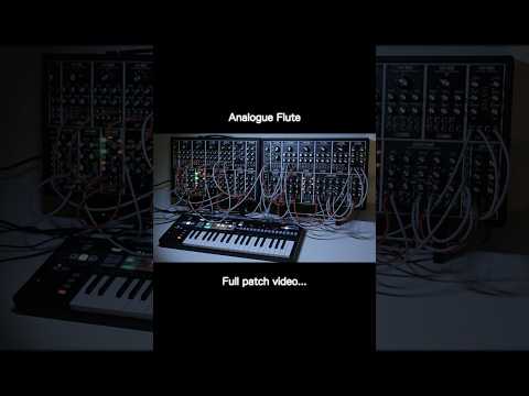 Analogue Flute w/ GEMINI 2412, NEXT PHASE & MINIMOD #eurorack Modules