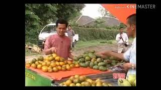 Download lagu Percakapan sehari hari wong palembang lucu abisss😂😂😂 mp3