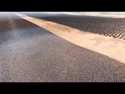 20.000 T-Rex vs 300.000 Laser Knight | Ultimate Epic Battle Simulator 2