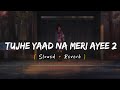 Tujhe Yaad Na Meri Ayee 2 (Slowed + Reverb) | B Praak, Jaani