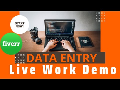 Virtual Assistant Data Entry work demo for beginners on Fiverr | Upwork with practice file