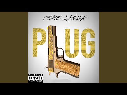 Plug