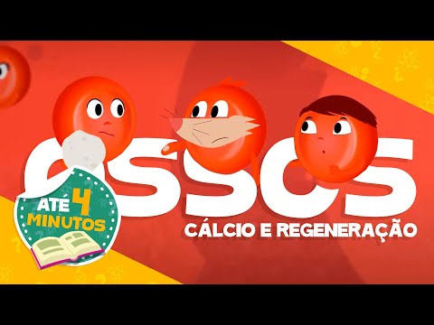 🦴 O CÁLCIO E A REGENERAÇÃO DOS OSSOS 👩‍🏫 Para sala de aula l Aprenda com Luna - O Show da Luna!