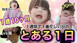 【1歳１０ヶ月】歳の差兄弟がいる1歳児のとある多忙な１日！