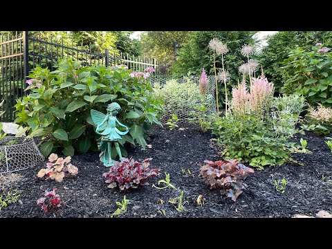 Relaxing Garden Tour with plant names (no narration) - July 2022