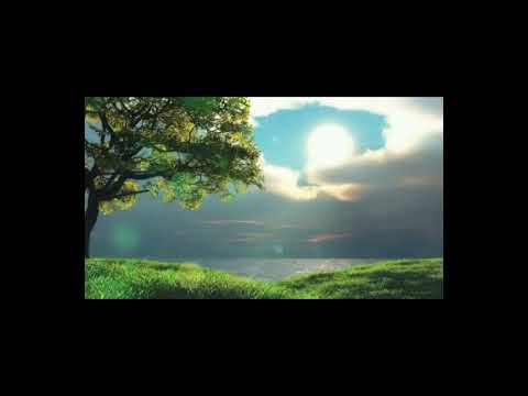 Childhood Dreams Pianomusic by Nils Westman