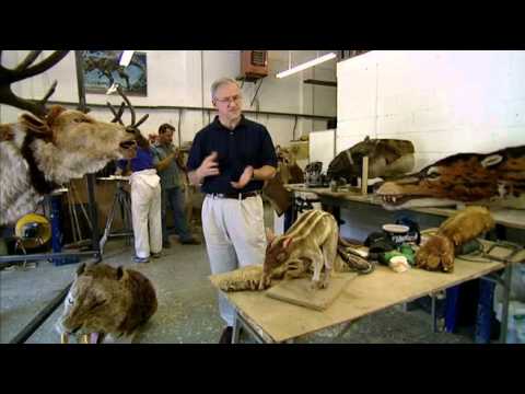 Triumph of the Beasts 1/4