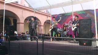 Yellow bocho singing Born to be wild