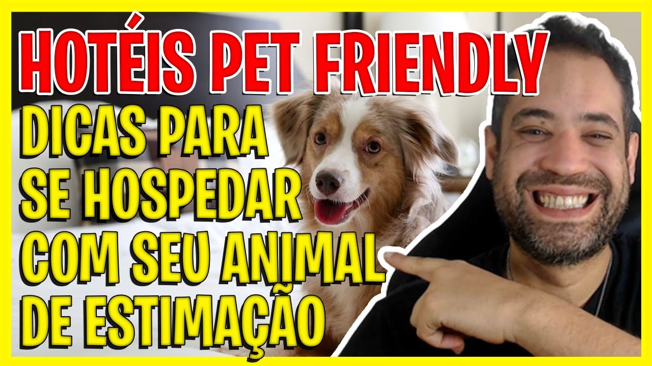 HOTEL PET FRIENDLY - TOP DICAS PARA SE HOSPEDAR COM SEU ANIMAL DE ESTIMAÇÃO!