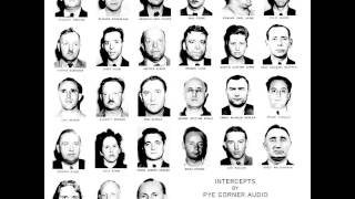 Pye Corner Audio - Perfect Secrecy Forever (2014)