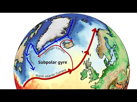 Subpolar Gyre Branch of AMOC Ocean Circulation System may be on the Verge of Collapse
