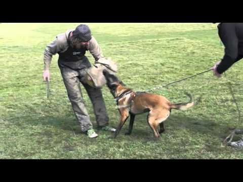 Marek Urban, SRB 2015