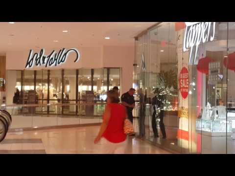 People panic at Twelve Oaks Mall, during smash and grab, see other video