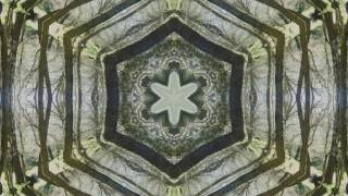 Un regalo que te dió la vida