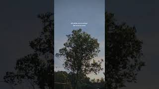 Download lagu Story WA sunda mp3 Download lagu Story WA sunda mp3